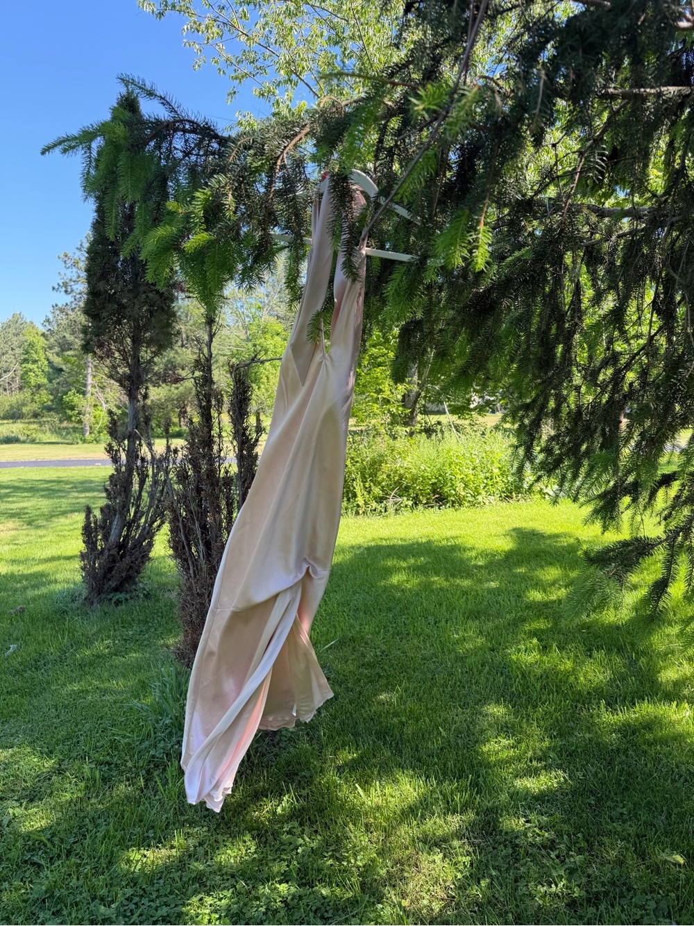 Revelry plunge Satin Slip Dress in Pale Blush
